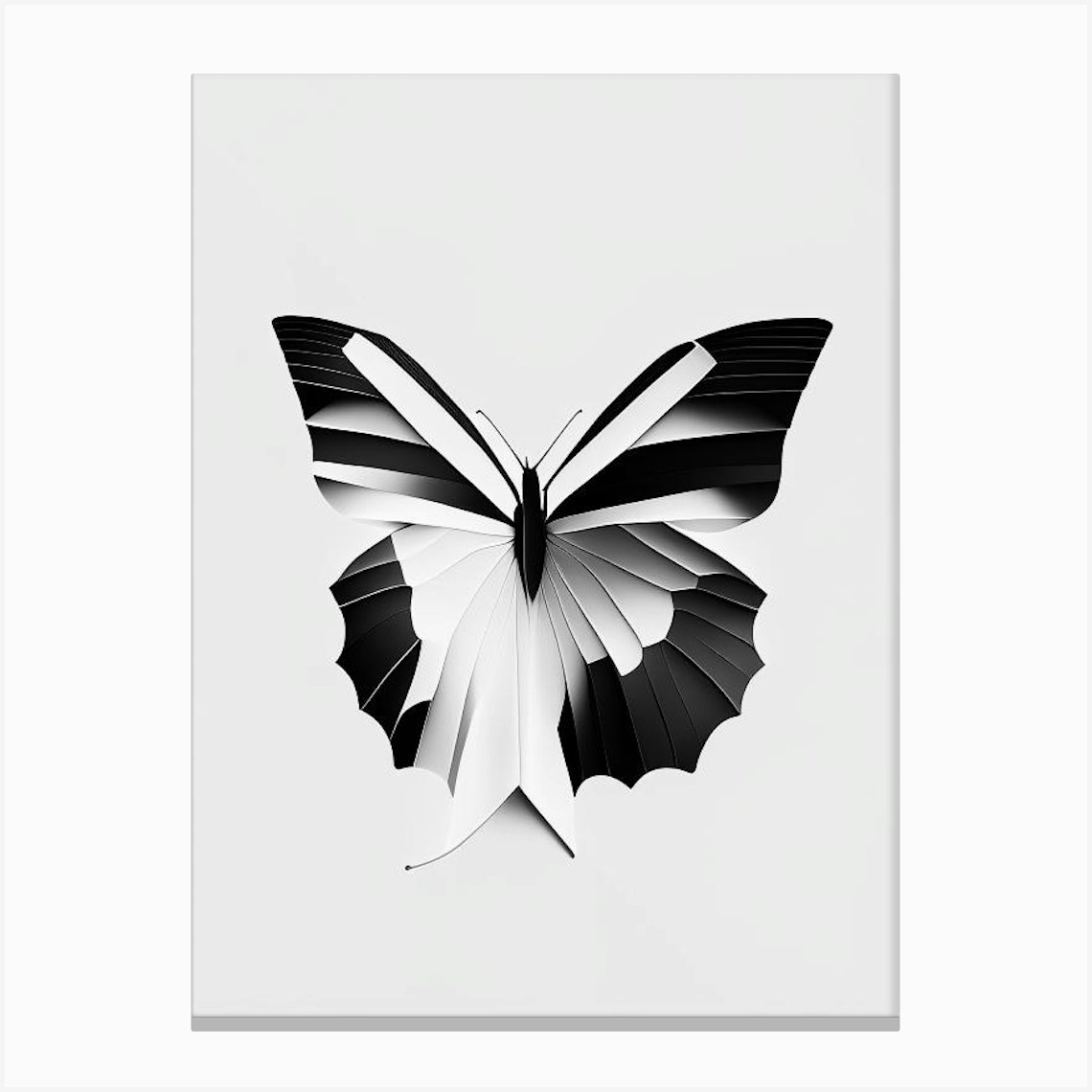 Comma Butterfly Black & White Geometric 1 Canvas Print by Papillon ...