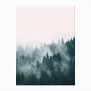 Fog And Forest Canvas Print by Sisi and Seb - Fy