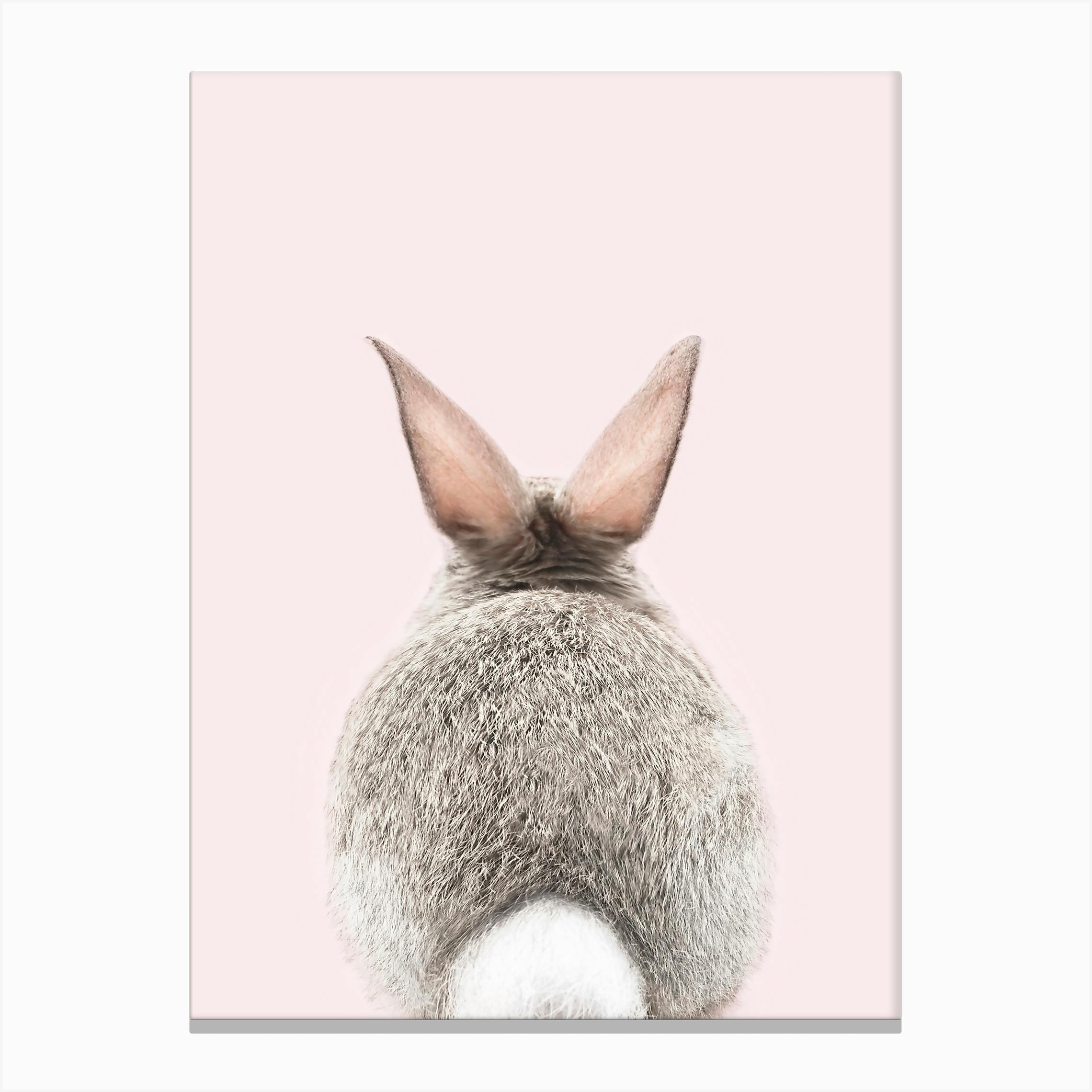 Bunny Tale Blush Canvas Print by Sisi Bunny Face Canvas Print by Sisi and Seb