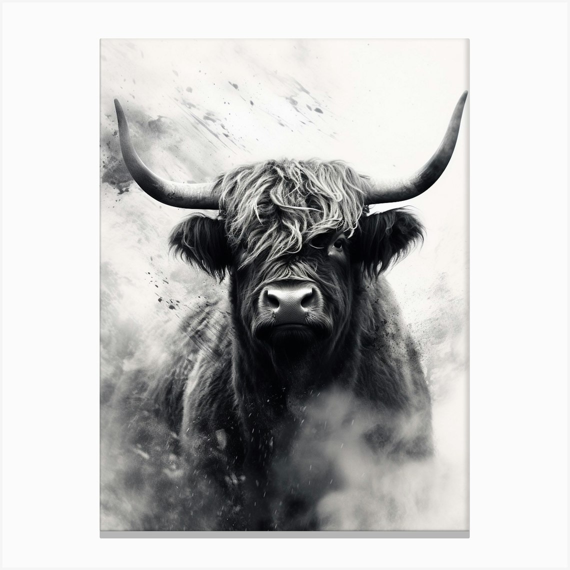 Black & White Illustration Of Highland Bull Canvas Print by Exploring