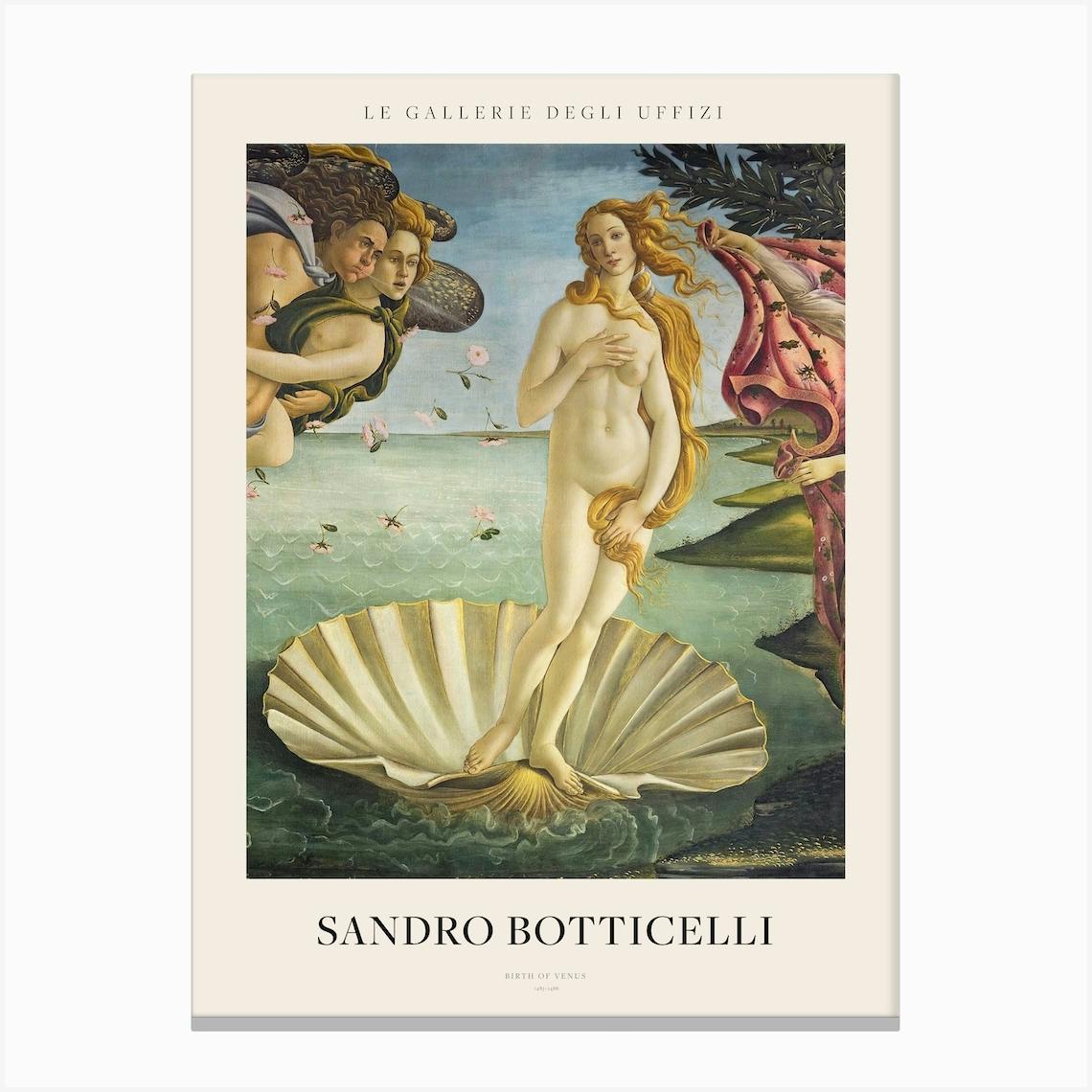 ポスター birth of venus Amazon.com: The Birth of Venus by Sandro Botticelli,Framed