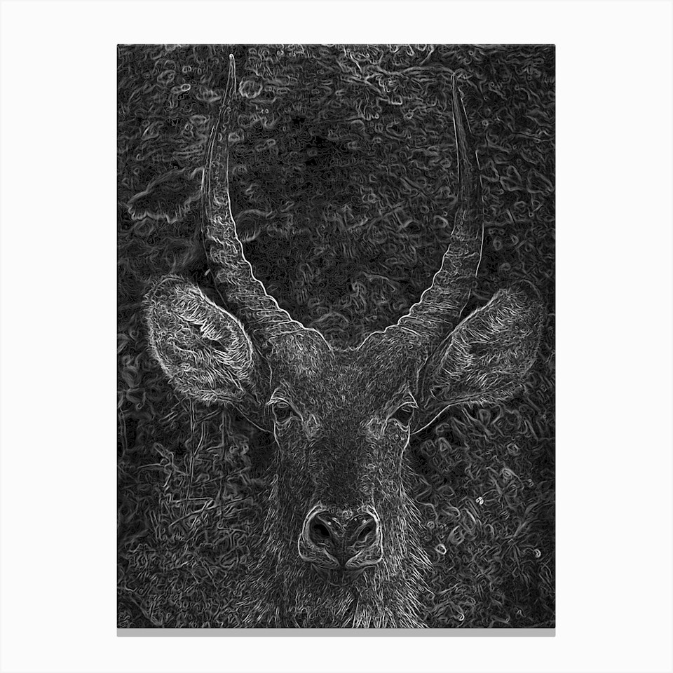 Antelope Art Print by Els Print Shop - Fy