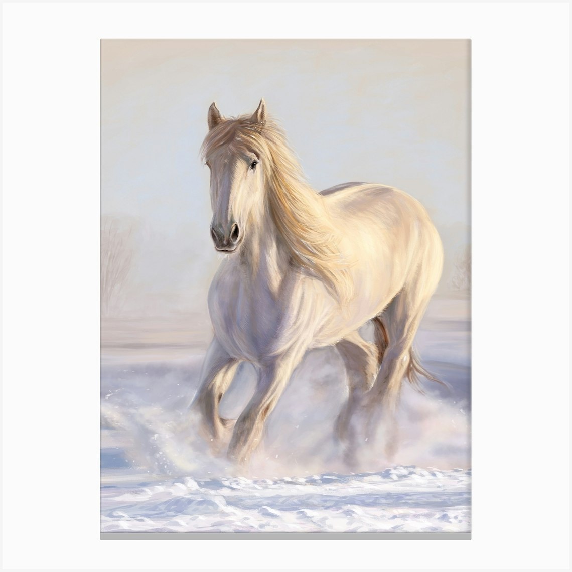 A white horse Canvas Print by Popova Josephine Fy