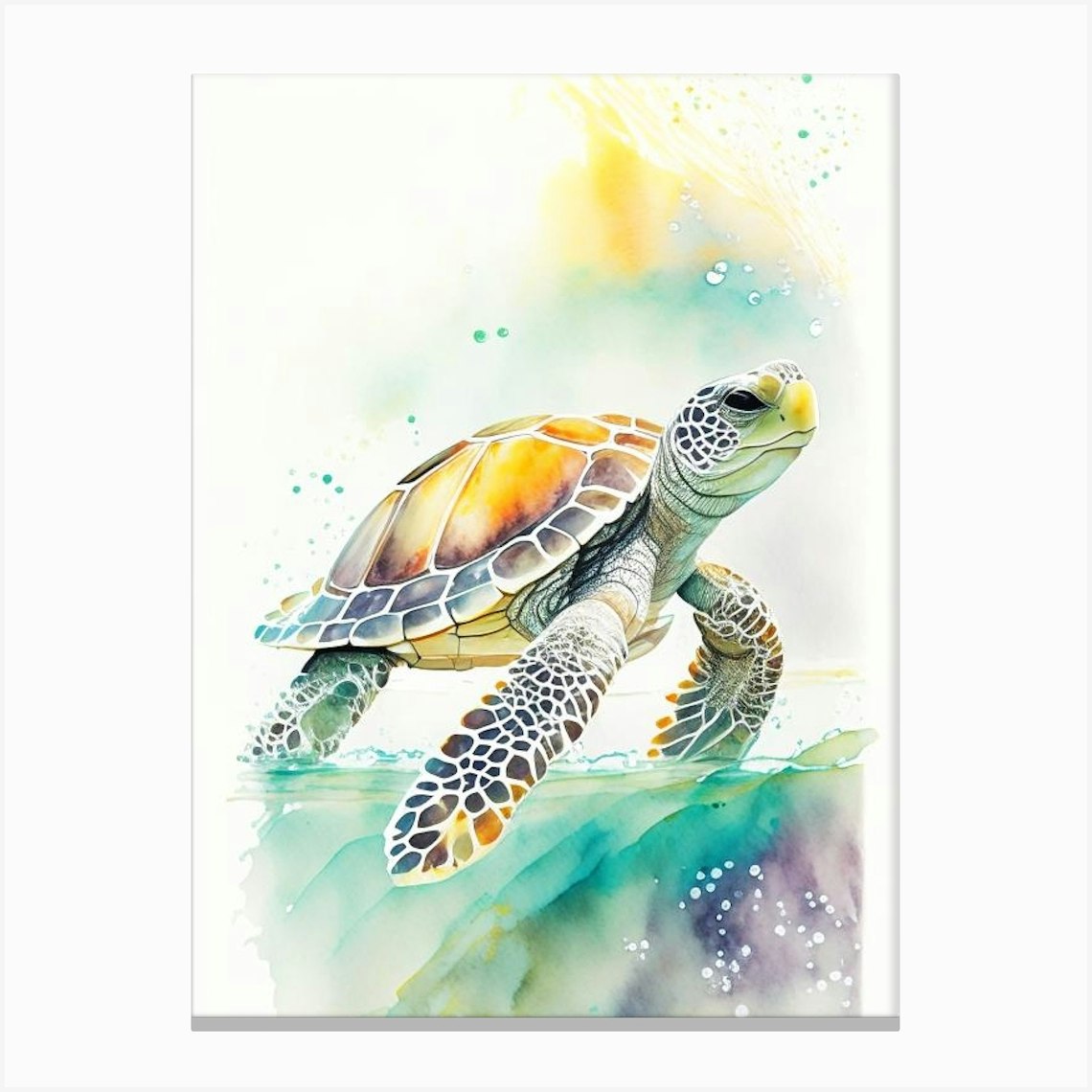 Flatback Sea Turtle (Natator Depressus), Sea Turtle Storybook ...