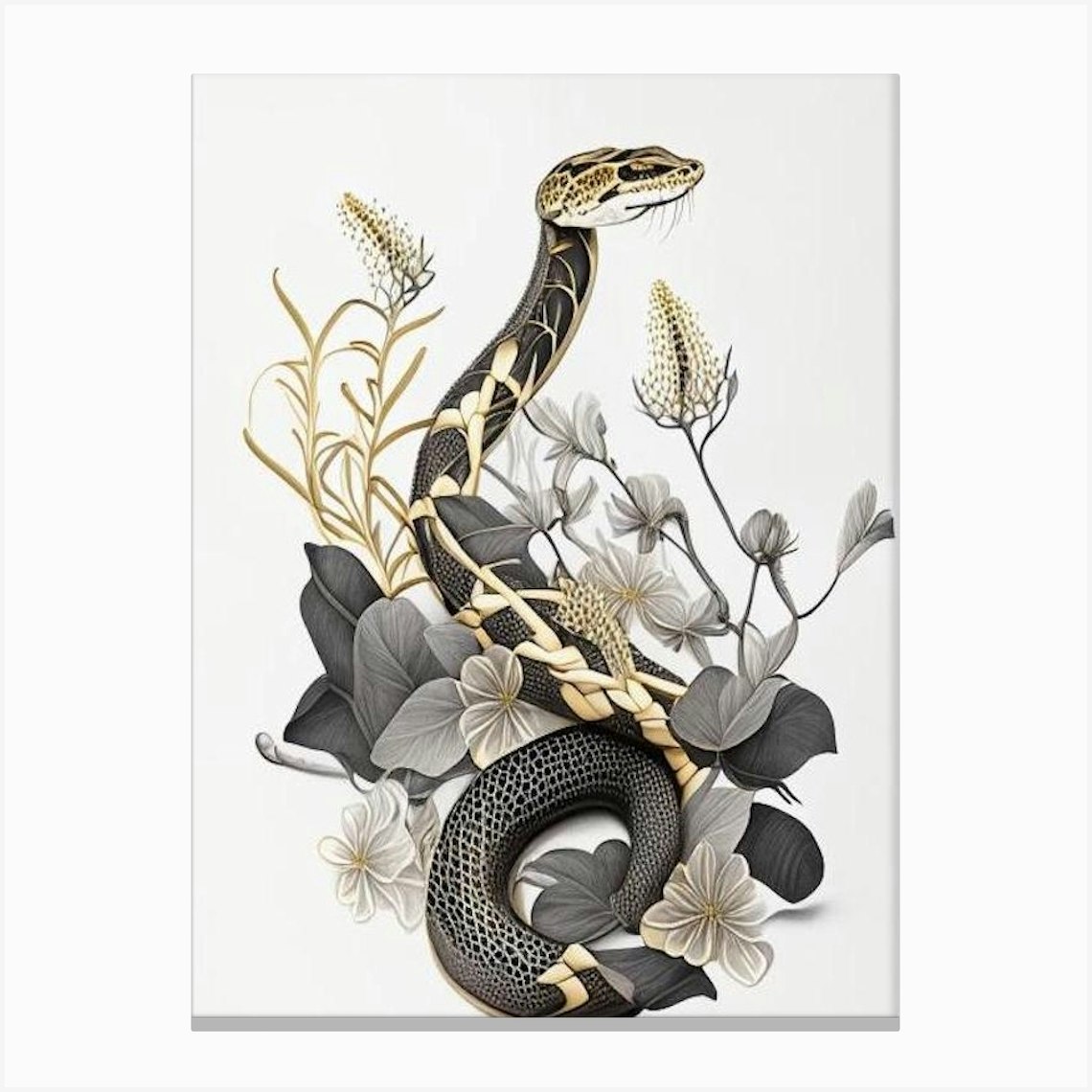 Madagascan Ground Boa Gold And Black Canvas Print by The Snake Pit - Fy