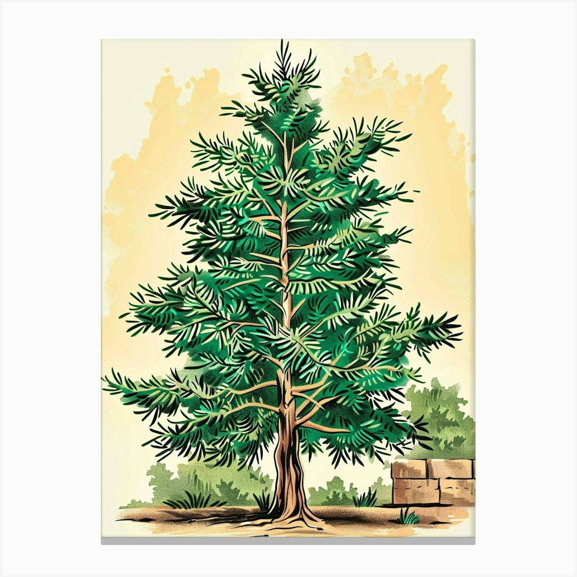 Cedar Tree Storybook Illustration 3 Canvas Print by Bough And Bloom ...