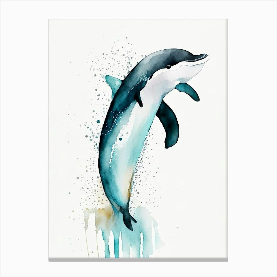 Hector S Dolphin Minimilist Watercolour (1) Canvas Print by The Fish ...