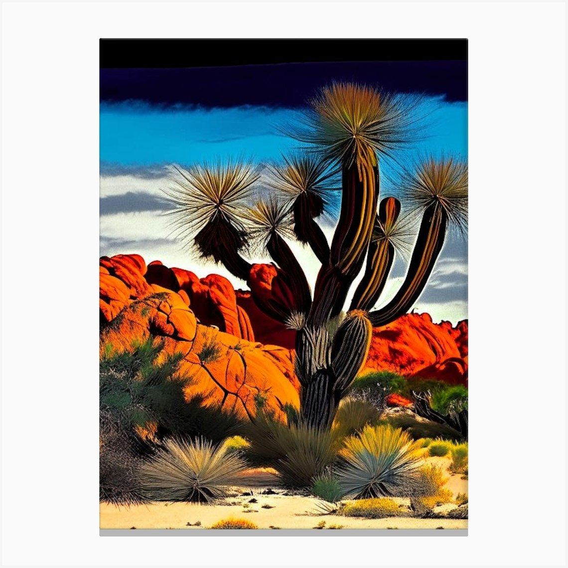 Joshua Trees National Park Nat Viga Style 6 Canvas Print By Arboreal Impressions Fy 2975