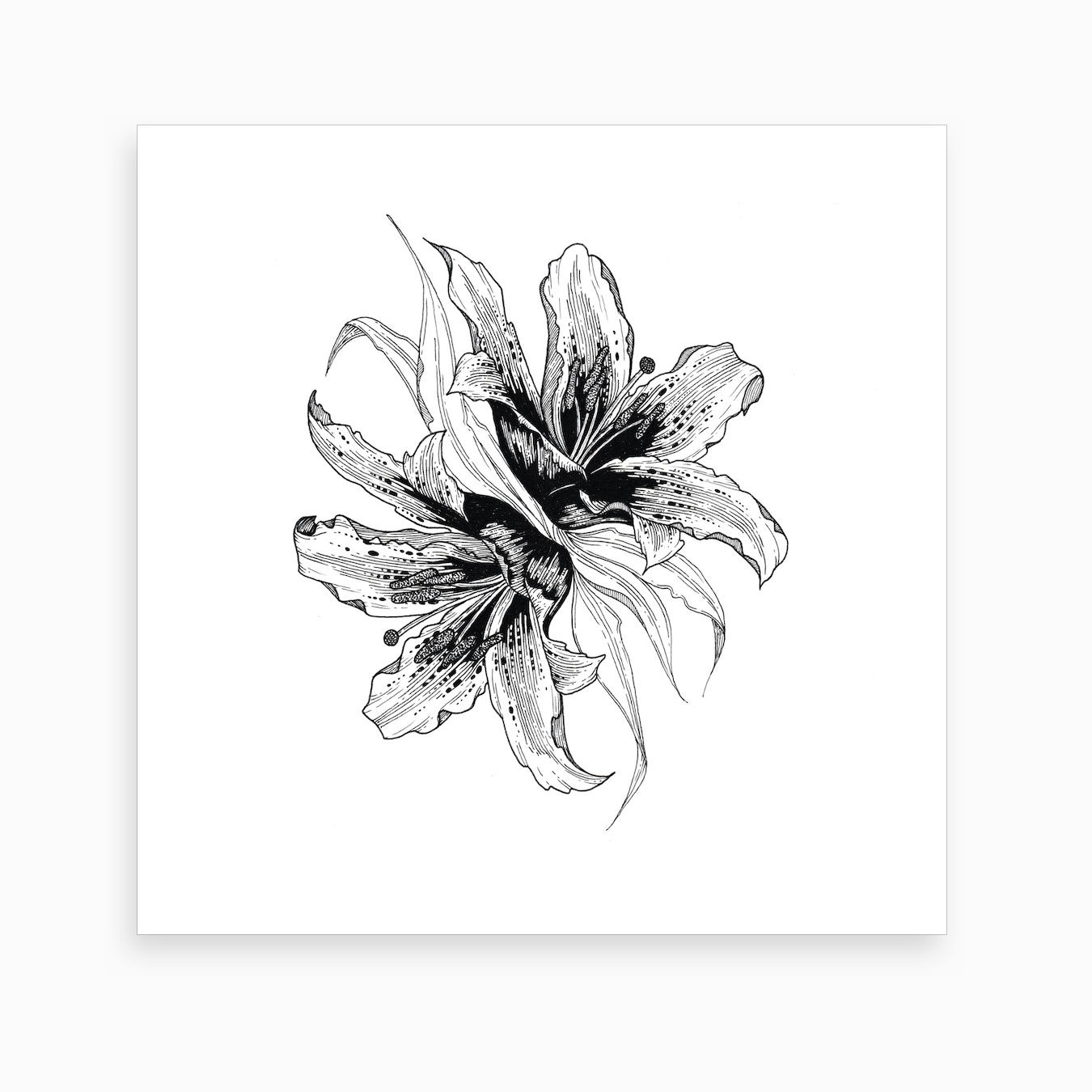 Lilies Art Print by Rosemary Grace Art - Fy