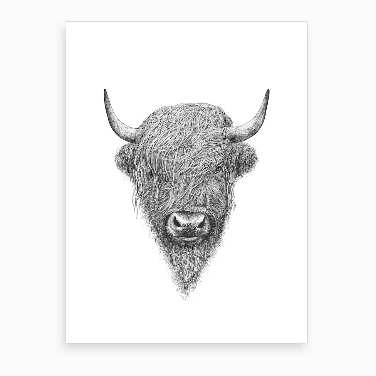 Highland Bull Canvas Print by Valeriya Korenkova Fy