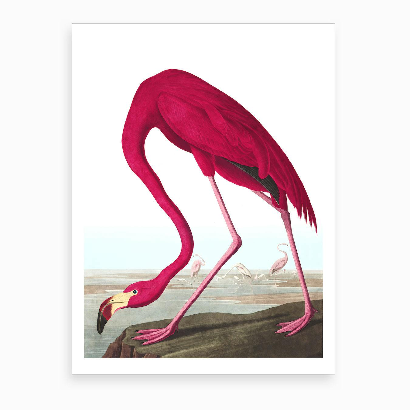 american flamingo painting autobahn