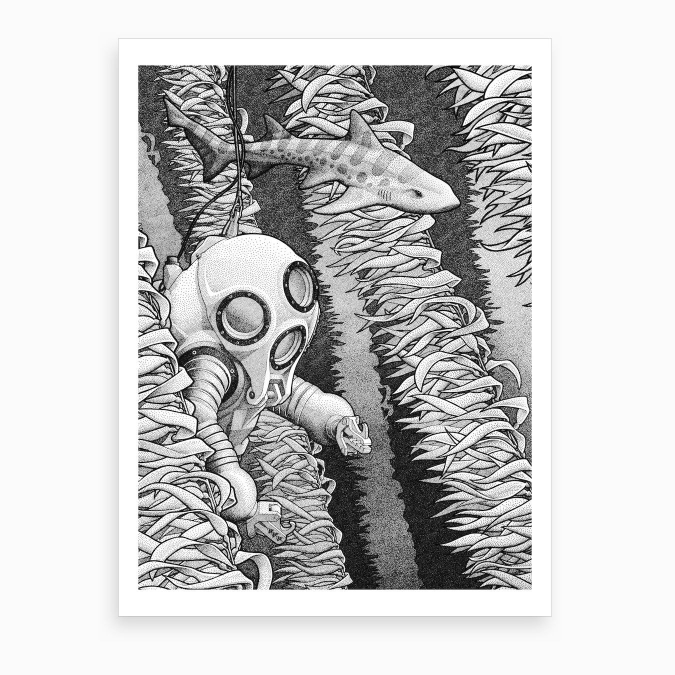 Leopard Shark Art Print by Josh Hilditch Illustration - Fy