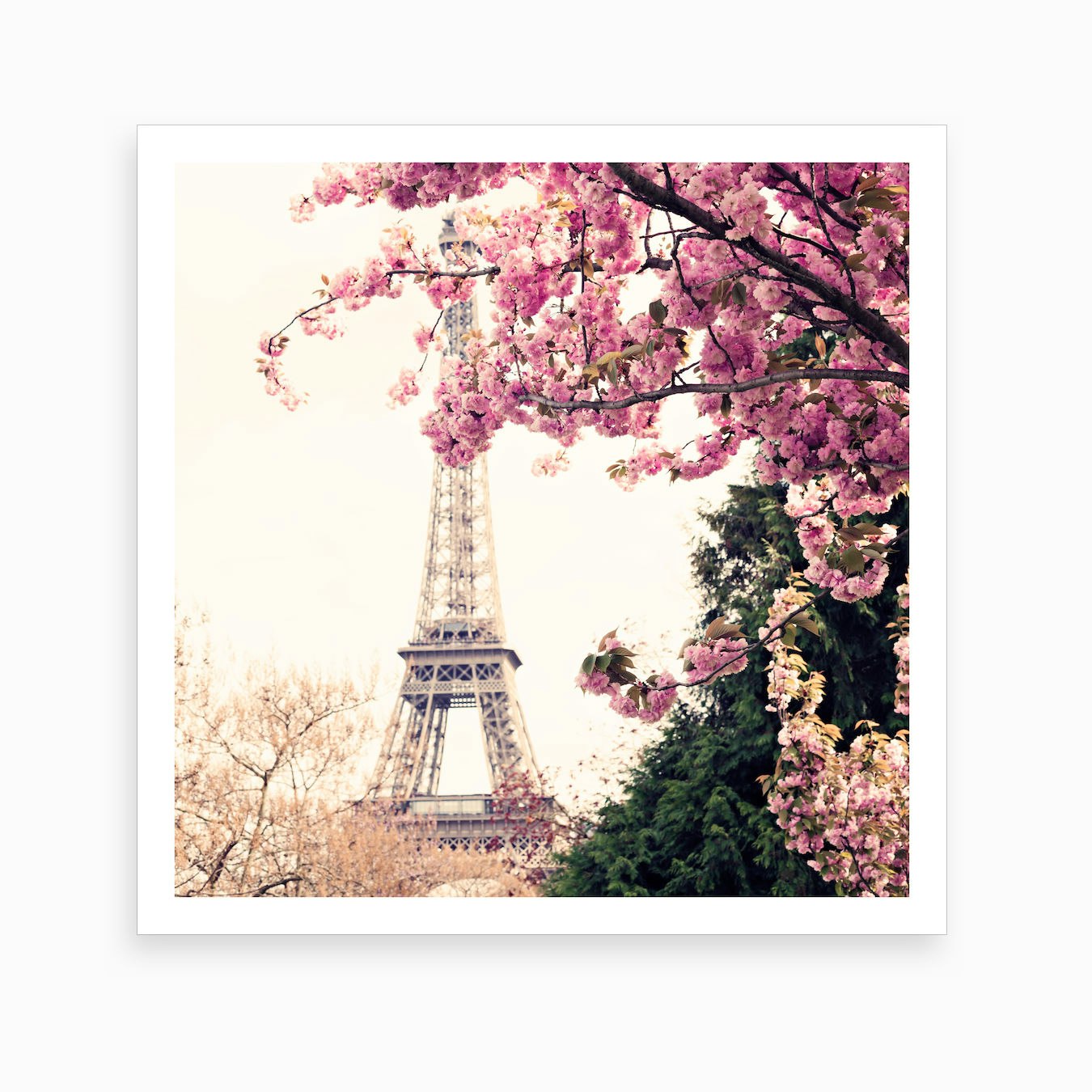 Paris In The Spring Art Print by Caroline Mint Art - Fy