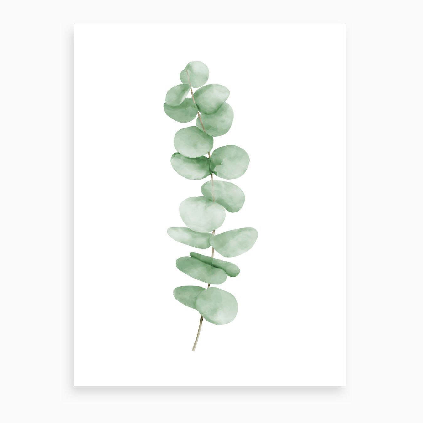 eucalyptus-leaves-art-print-by-hecetu-fy