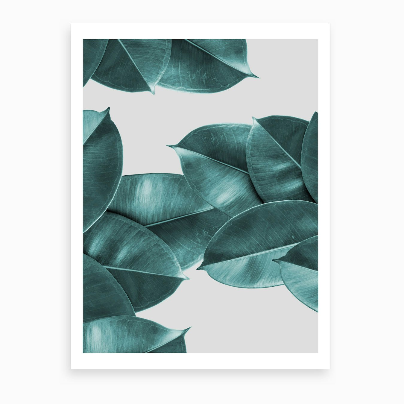 Green Ficus Leaves Art Print by Hecetu - Fy