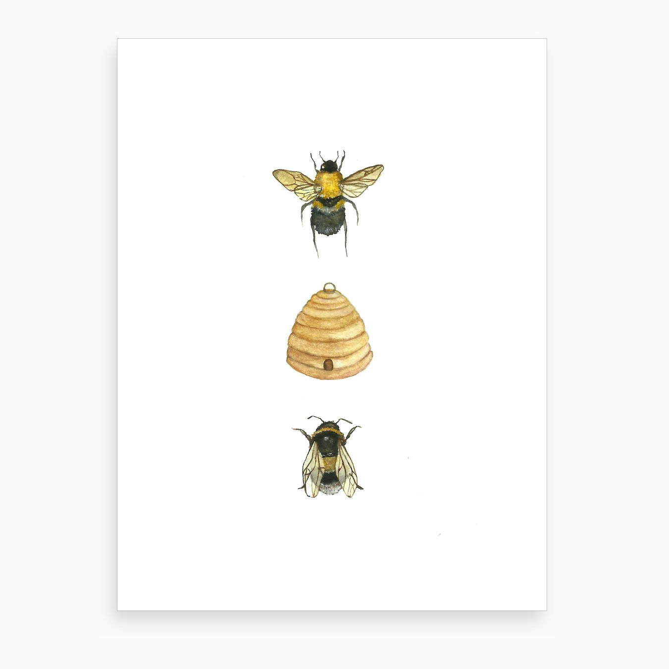 Bumblebee Family Art Print by Lamblittle Illustration - Fy