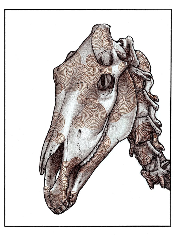 Horse Skull Red Art Print by Anastasia Chernyavska - Fy
