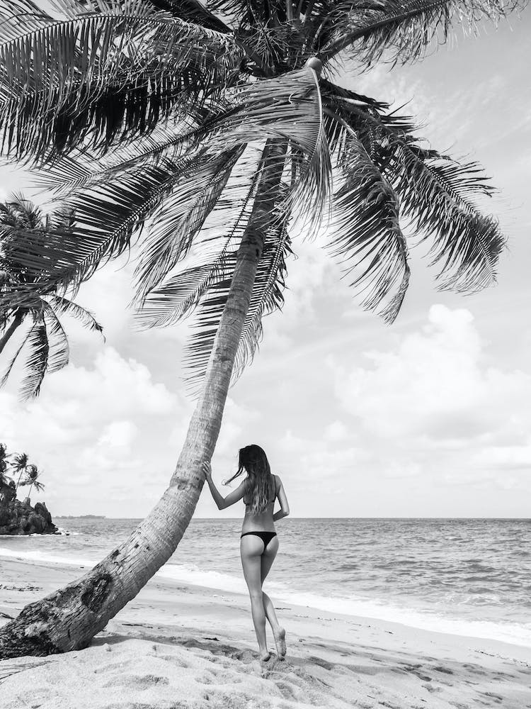 Dreamy Tropical Island Black And White Art Print by Dagmar