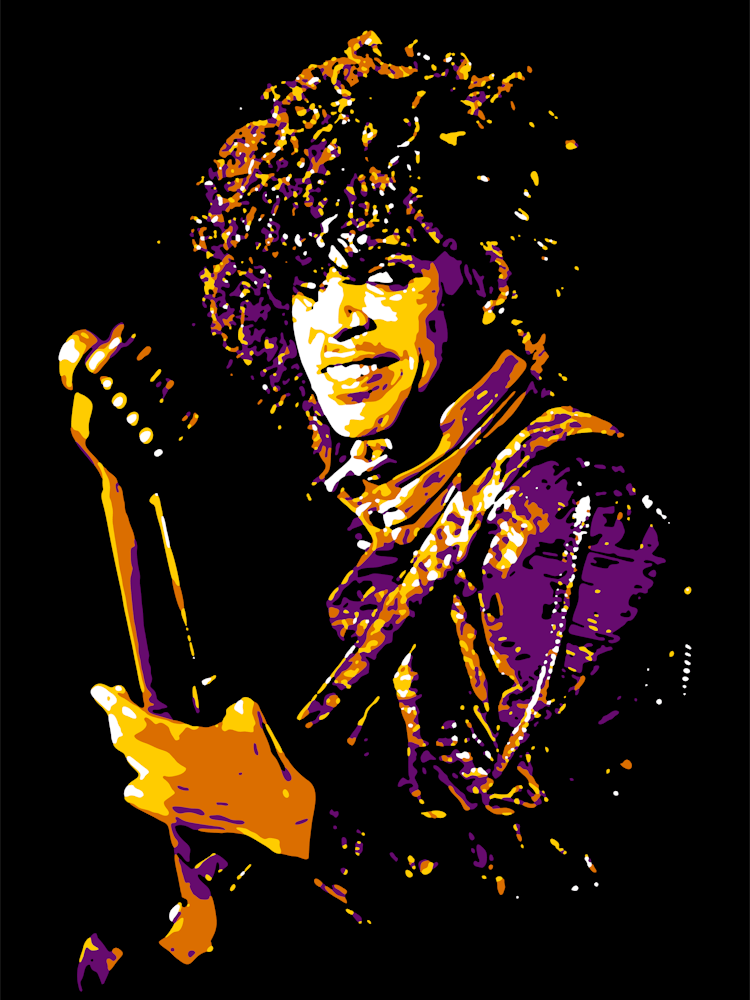 アート・デザイン・音楽 Prince 1st PHOTO Amazon.com: Prince 1st Photo Book 