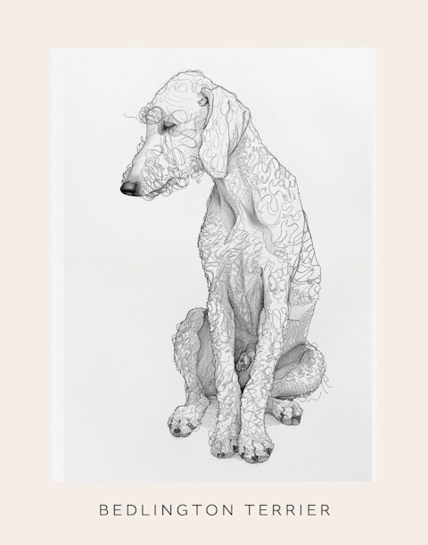 Bedlington Terrier Luggage Cover Bedlington Terrier Luggage Cover