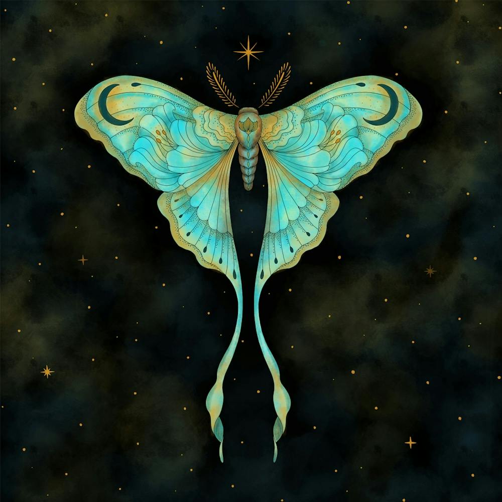 ダイヤモンドアートクラブ Luna Moth Witch