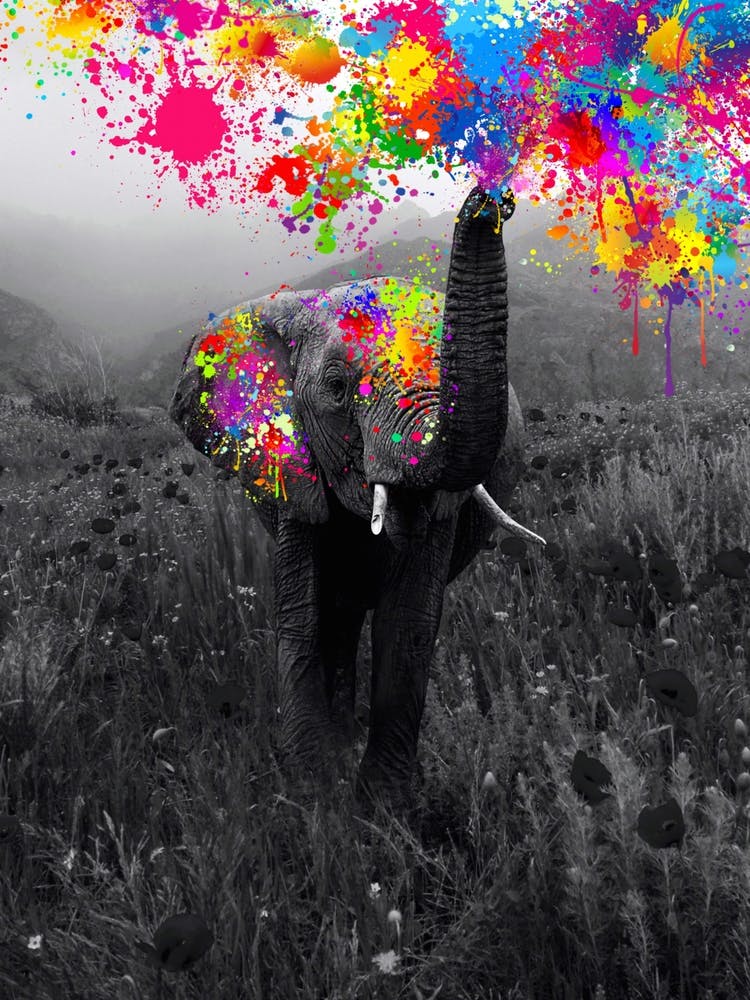 Elephant Playing With Paint Colours 1 Art Print by Gen Z - Fy