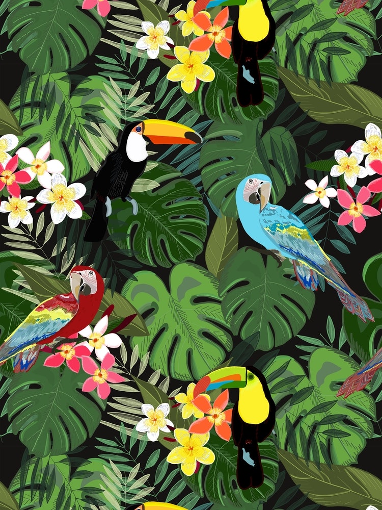 Tropical Forest Birds Art Print by Gulsen Gunel - Fy