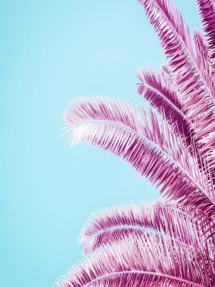 Pink Palm Trees Art Print by Victoria Frost - Fy