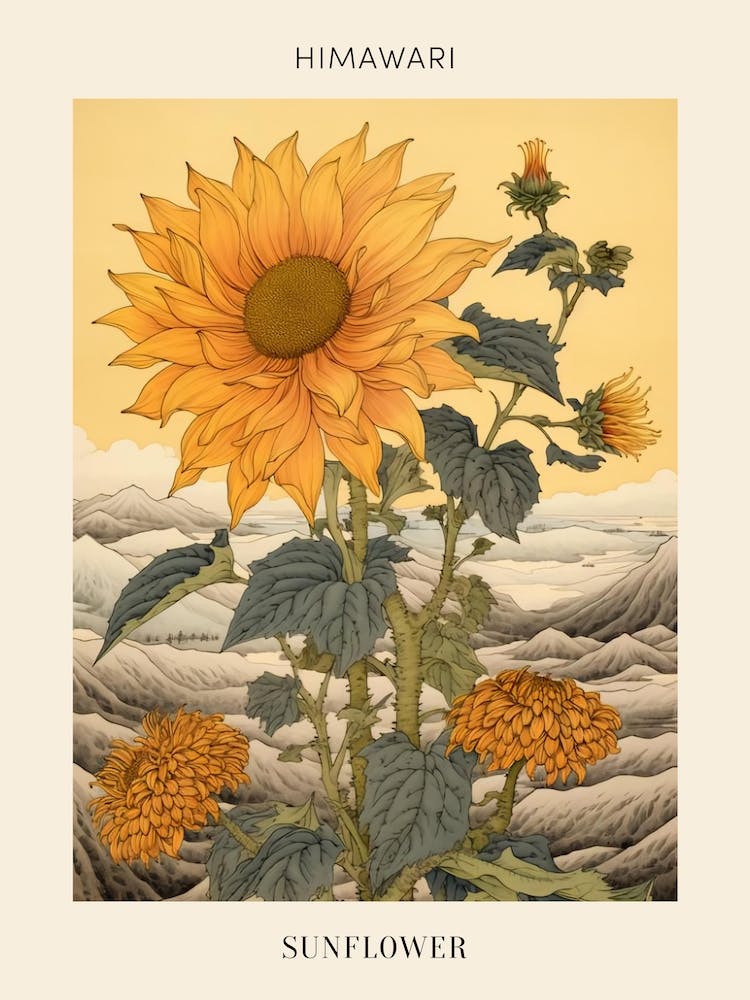 Himawari Sunflower 2 Japanese Botanical Illustration Poster Art