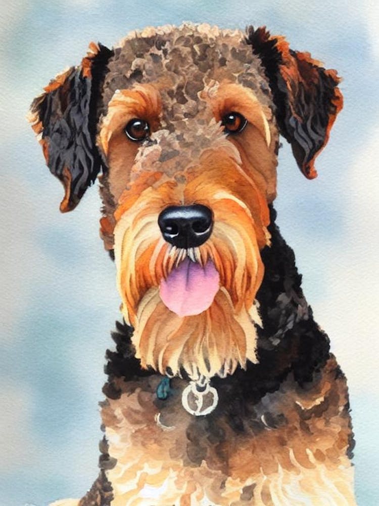 Airedale painting store