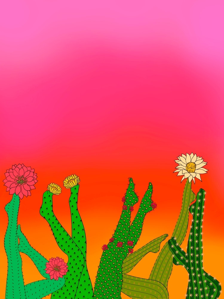 Cactus Legs Art Print by Audrey Herbertson - Fy