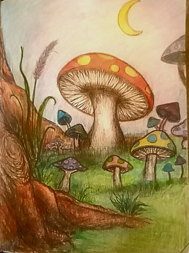 Mushroom Forest Art Print by DubbaDubHub - Fy