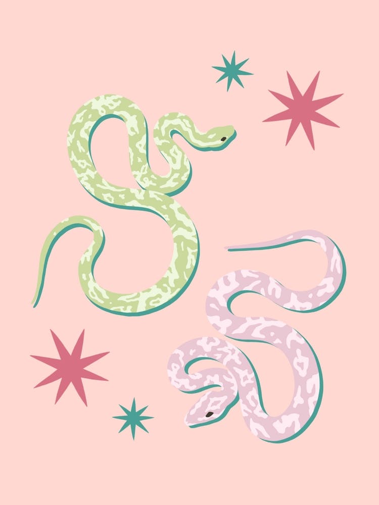 Snake aesthetic flower girl HD phone wallpaper  Peakpx