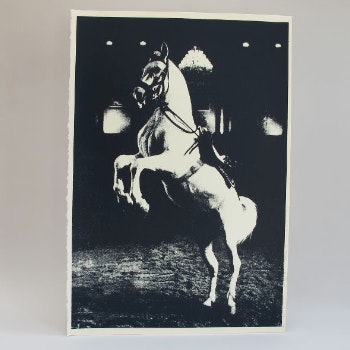 Prancing Horse Screenprint by Kate Gibb