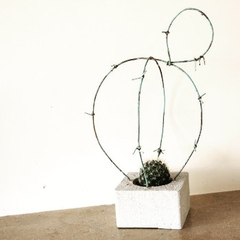 Rounded Turquoise Cactus Decoration by