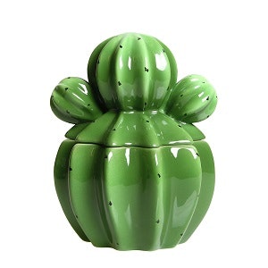Small Cactus Jar by & Amsterdam