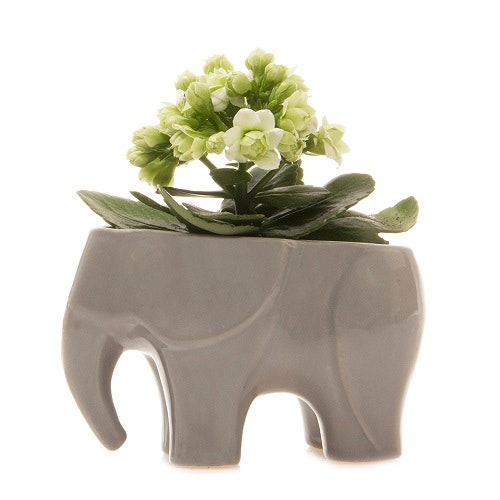 Grey Mini Elephant Planter by Chive