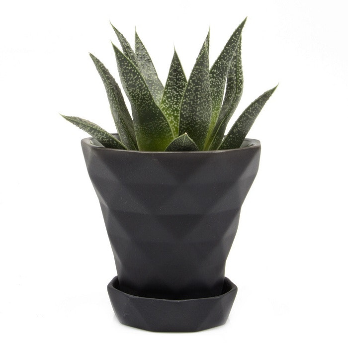 Diamond Mini Flower Pot & Saucer : Black by Chive