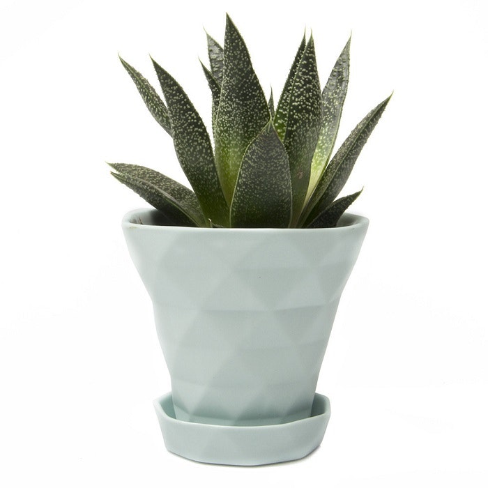 Mint Diamond Mini Flower Pot & Saucer by Chive