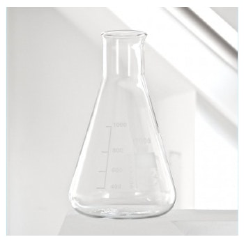 1000ml Erlenmeyer Flask Vase by Labware