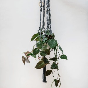 Grey Macrame Plant Hanger by