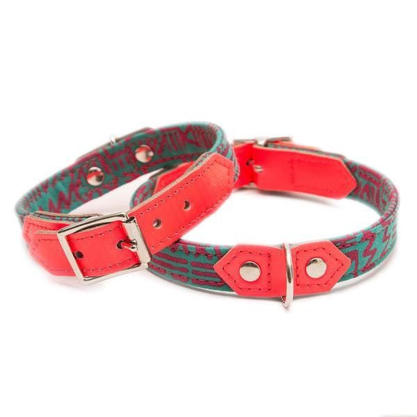 KM Turquoise Neon Dog Collar by Hiro + Wolf