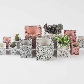 Square Terrazzo Concrete Planter / Vase by Daniela Rubino