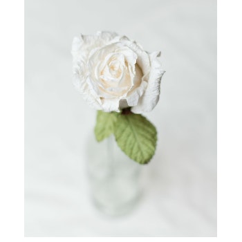 Paper Lady Rose Artificial Flower by Posy & Pot