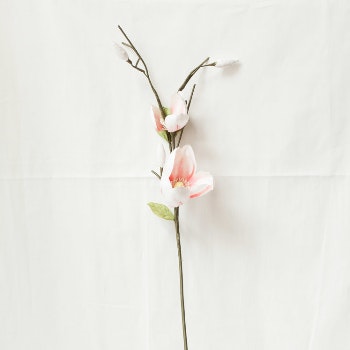 Paper Magnolia Artificial Flowers by Posy & Pot