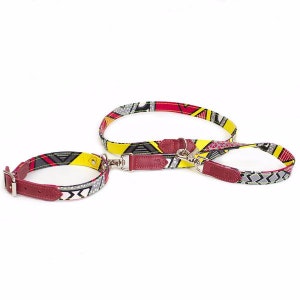 Rocket Cafe Lead With XS Dog Collar by Hiro + Wolf