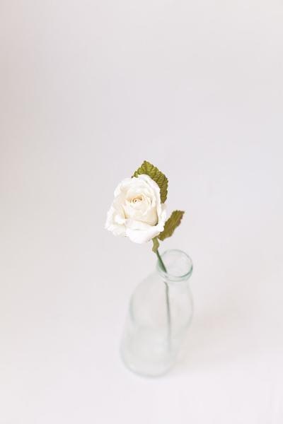 Paper Rose Everlasting Flower by Posy & Pot