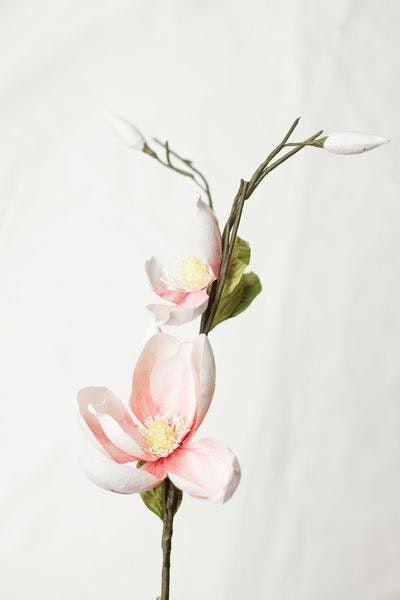 Paper Magnolia Everlasting Flower by Posy & Pot