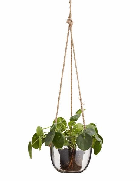 Medium Glass Hanging Pot Planter by Madam Stoltz