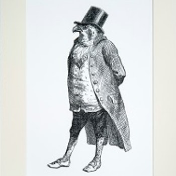 Metamorphosis Kestral Print by Mrs Moore Vintage Store